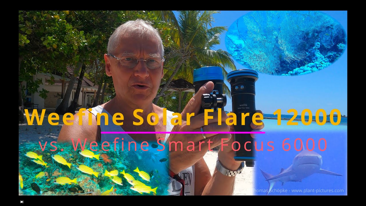 Weefine Solar Flare 12000 vs. Weefine Smart Focus 6000