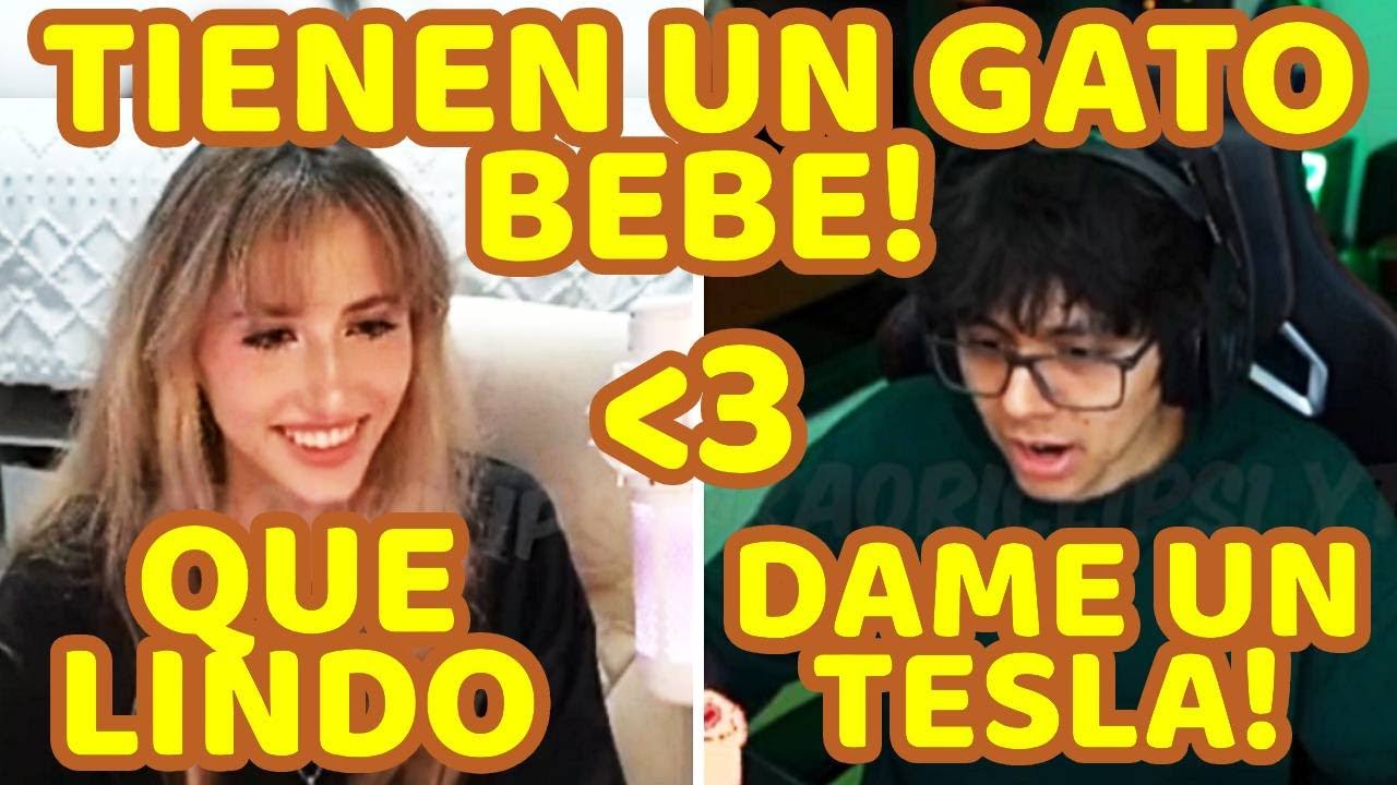 DAARICK Y MEWDEW TIENEN 2 GATOS Y LOS REPRODUCEN ENTRE ELLOS, TIENEN UN GATO BEBE, DUERMEN JUNTITOS