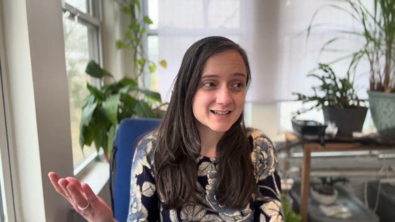 A language teacher's review of BaseLang in 2026