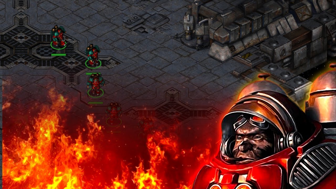 FlaSh endorses the FIREBAT META !