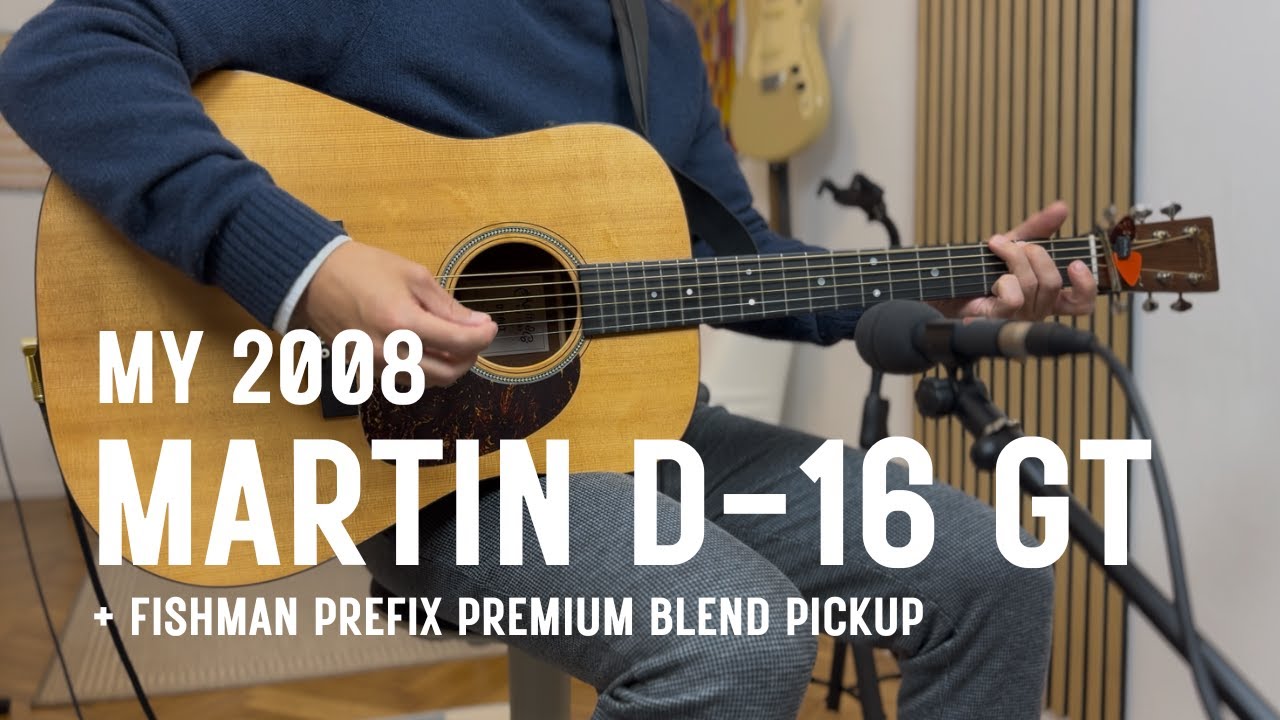 Martin D-16 GT (with Fishman Prefix Premium Blend)