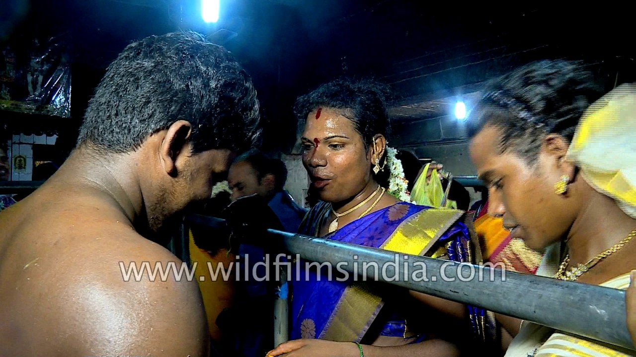 Thousands of transgenders gather for Koovagam festival in Tamil Nadu