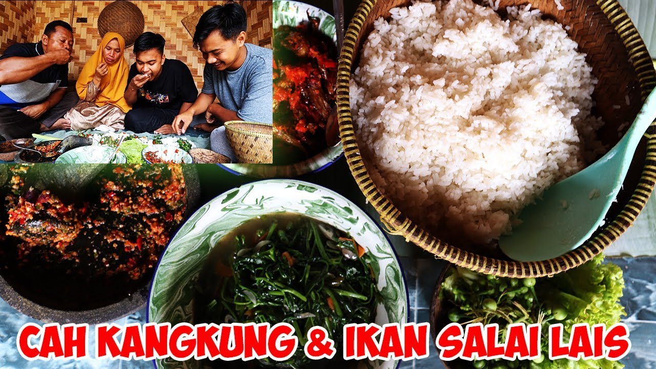 CAH KANGKUNG HABIS DALAM SEKEJAP!!