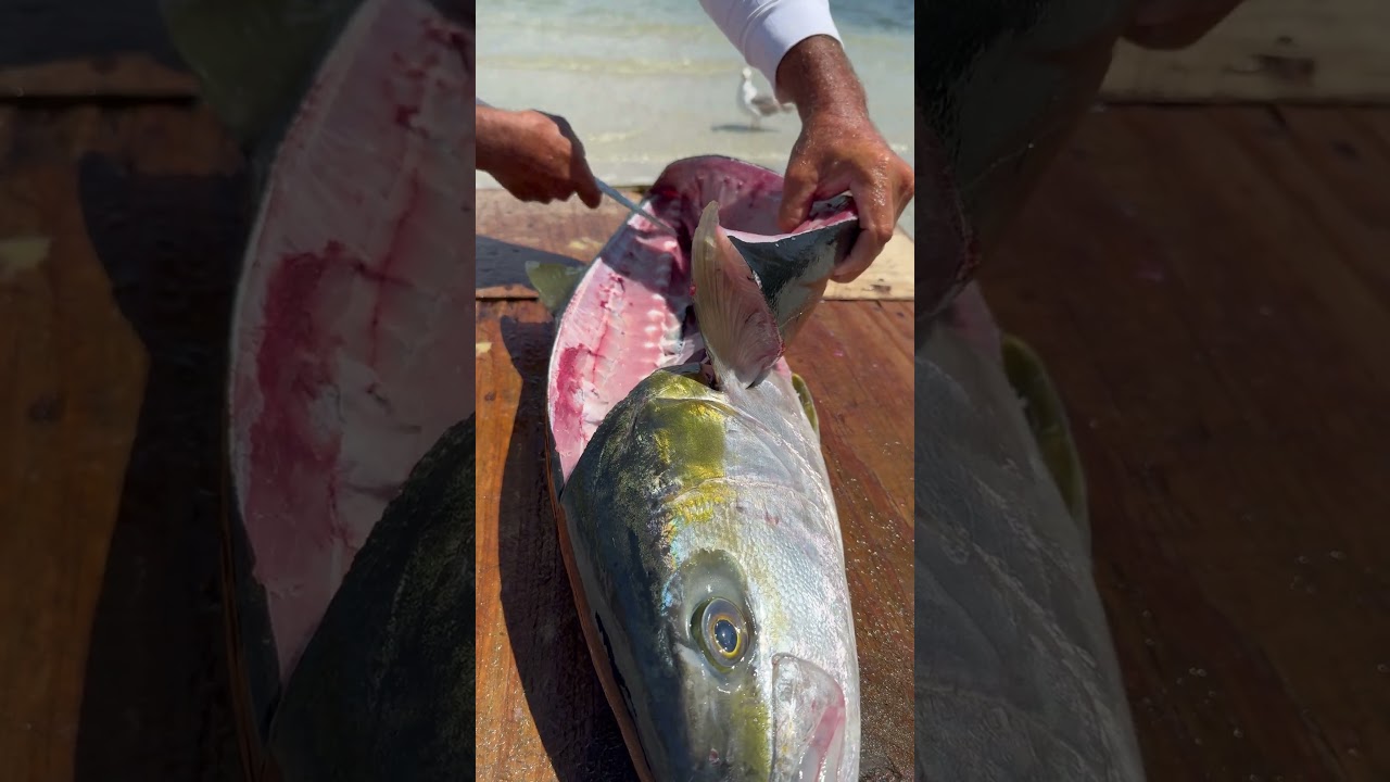 🎣Como FILETEAR un JUREL de Castilla 🐟