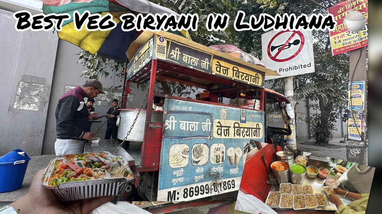Day 13 Vlog || Best Veg Biryani In Ludhiana🍚 || Veg Biryani || India Street Food 🥘 || Daily Vlog