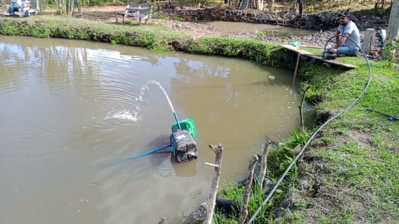 Como produzir oxigênio para os peixes na represa