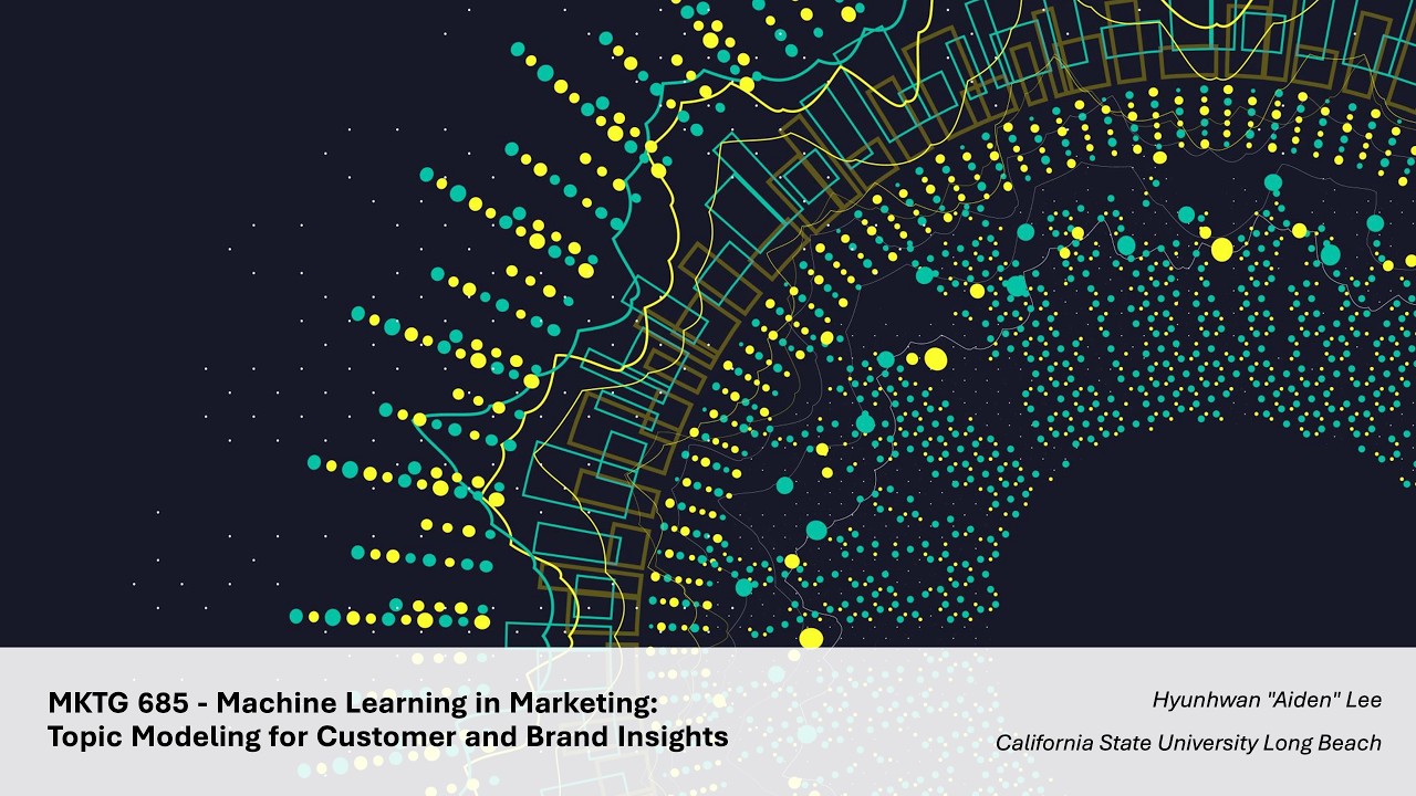 Topic Modeling Theme Discovery for Customer and Brand Insights