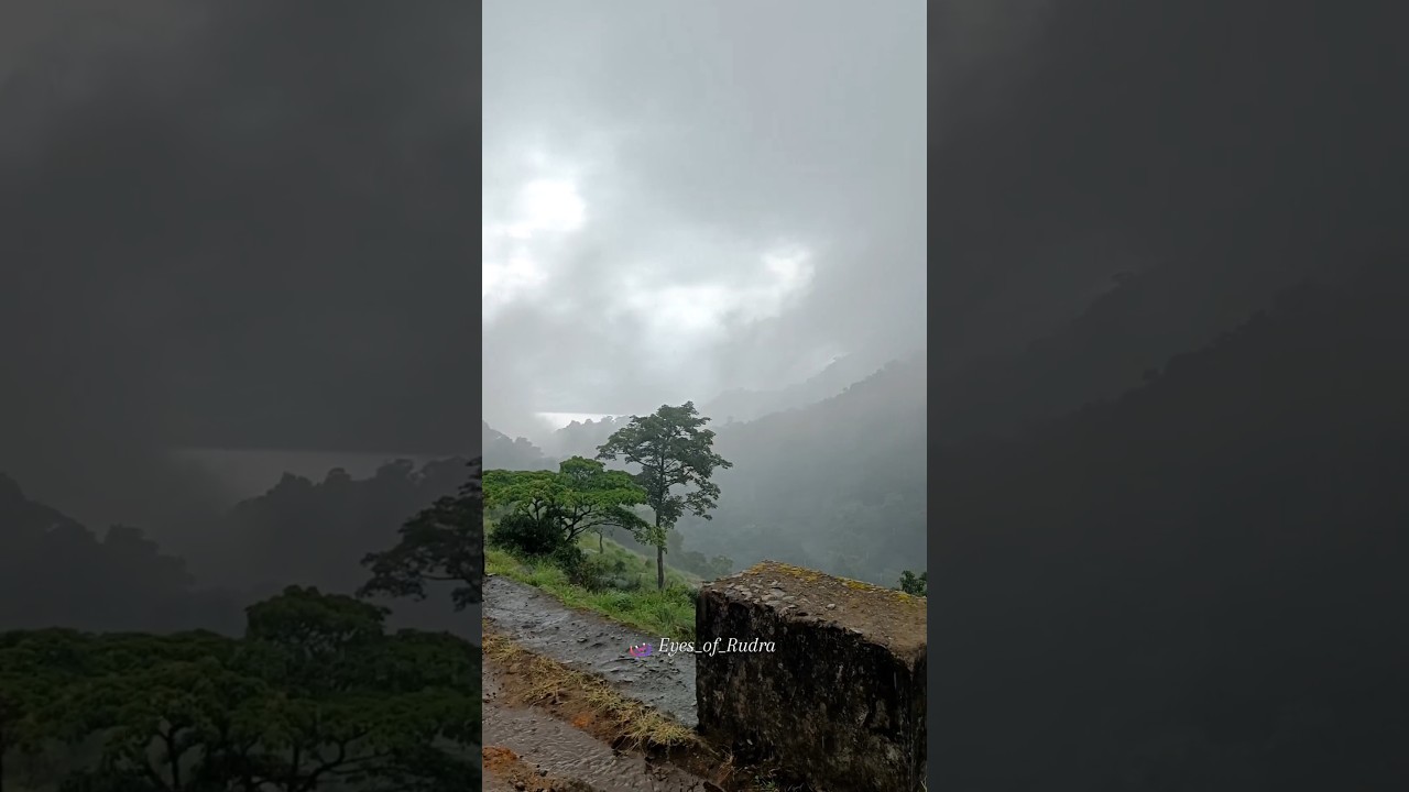 This weather transformation  was unreal! #shorts #nelliyampathy #kerala #rain #nature #viral #travel