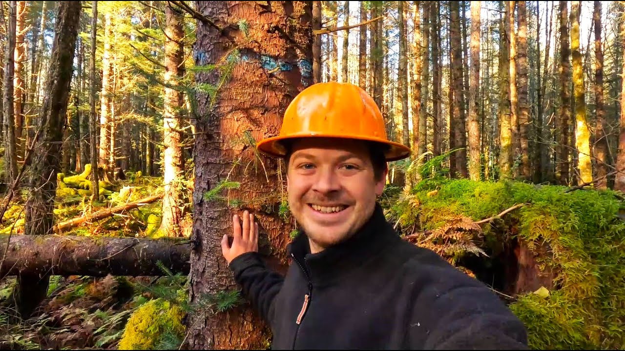 Logging with Sterling -  Will This Video Make You A Logger?  - You Tell Me?!!!
