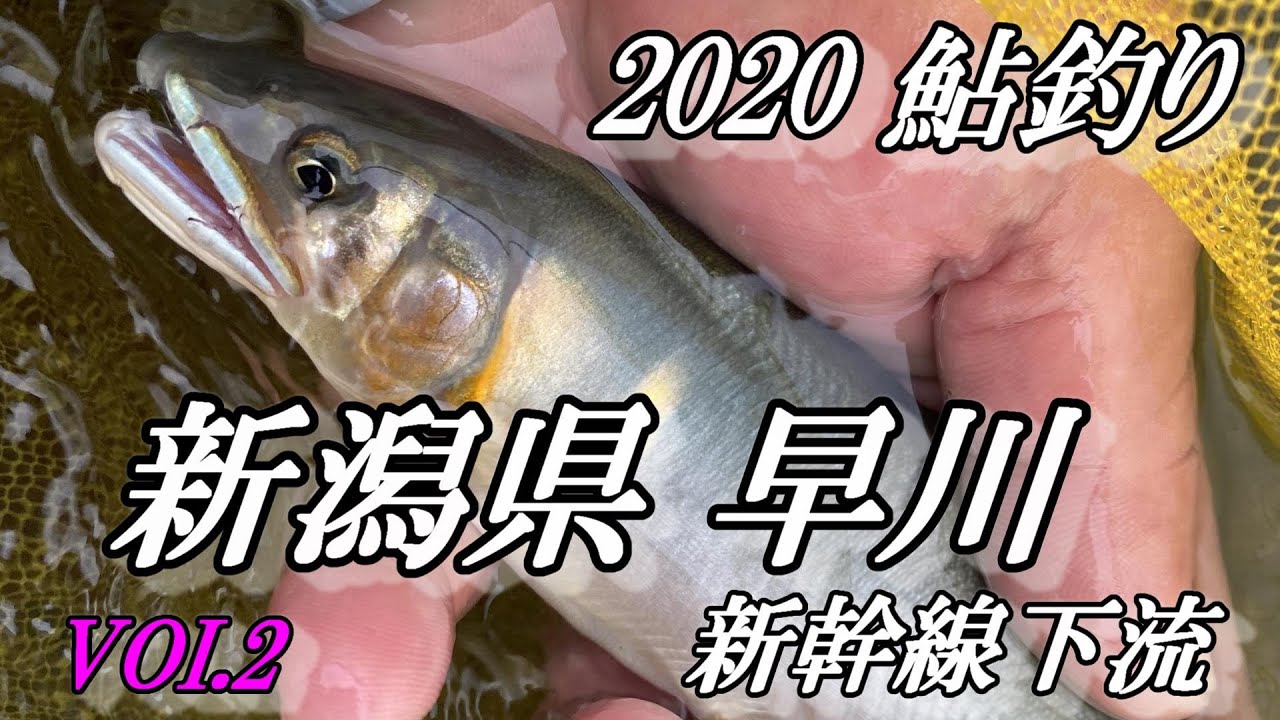 【鮎釣り 2020】新潟県 早川 VOI. 2 NO.15