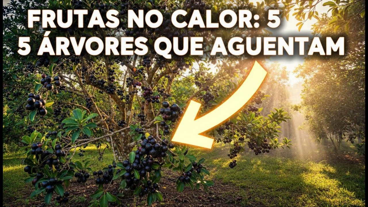 5 Árvores que Produzem Frutas o Ano Todo e Sobrevivem ao Calor Infernal do Brasil