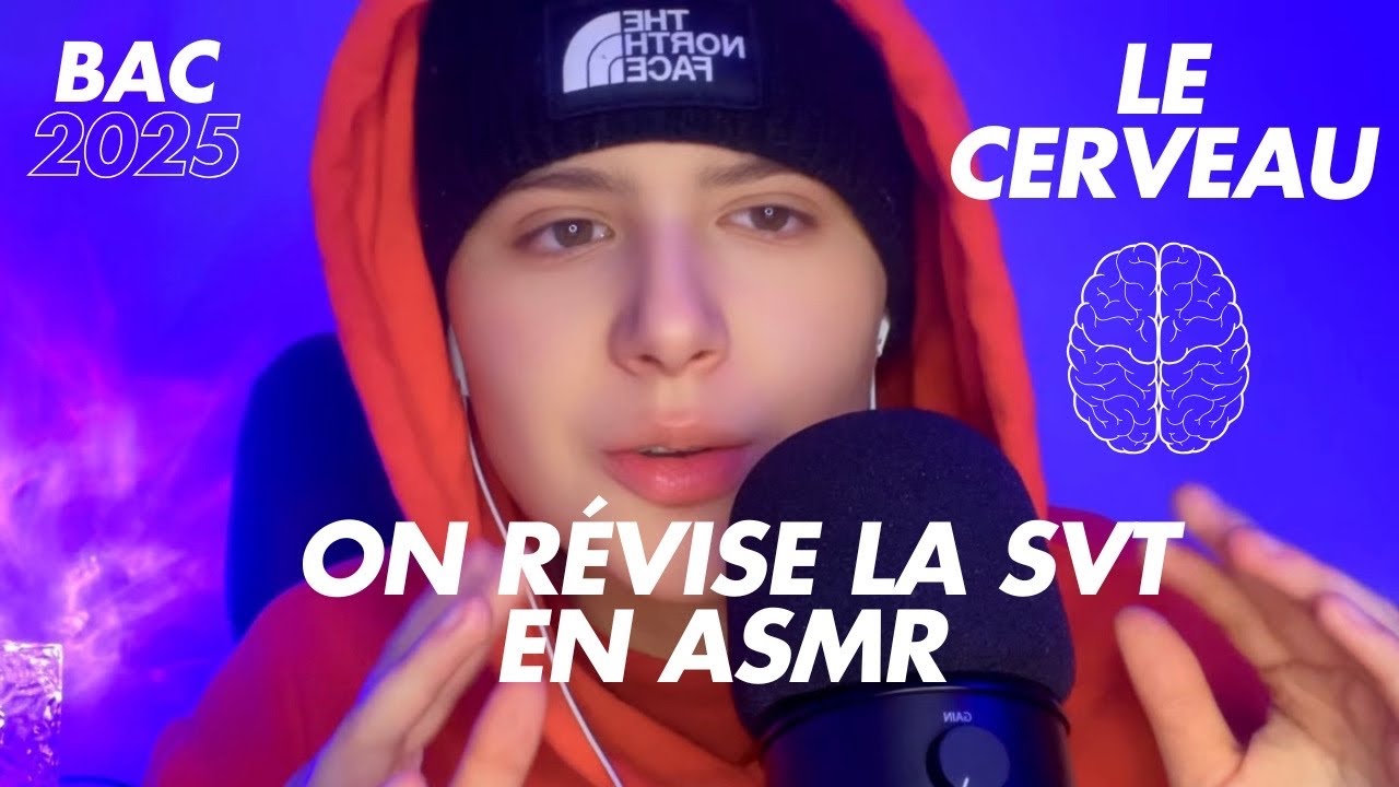 ASMR | PETITE SÉANCE DE RÉVISION (LE CERVEAU 🧠) - SVT BAC 2025 #asmr #asmrfr #bac2025