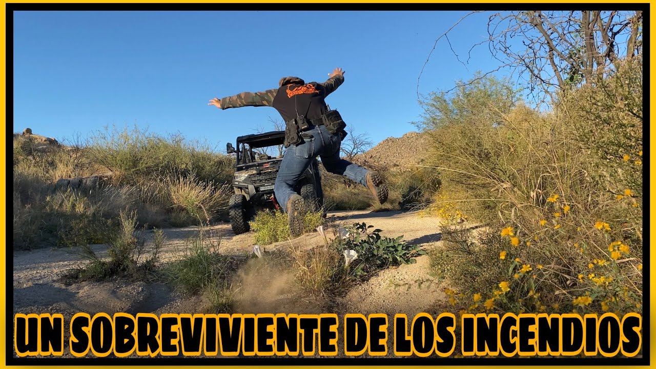AVENTURA 262 NOS ENCONTRAMOS UN PEQUEÑO SOBREVIVIENTE DE LOS INCENDIOS FORESTALES DE ARIZONA