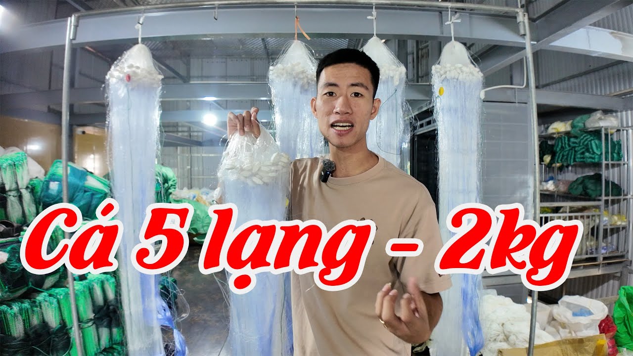 Lưới Đánh Cá Chép, Cá Phi | Cao 1m5 x 90m x 10cm Sợi 15 #480k || luoi danh ca a trung