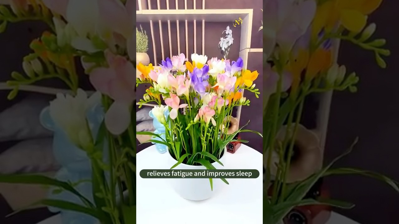 How to Grow Freesia for Beautiful Blooms! 🌸 Secret Tips Revealed!