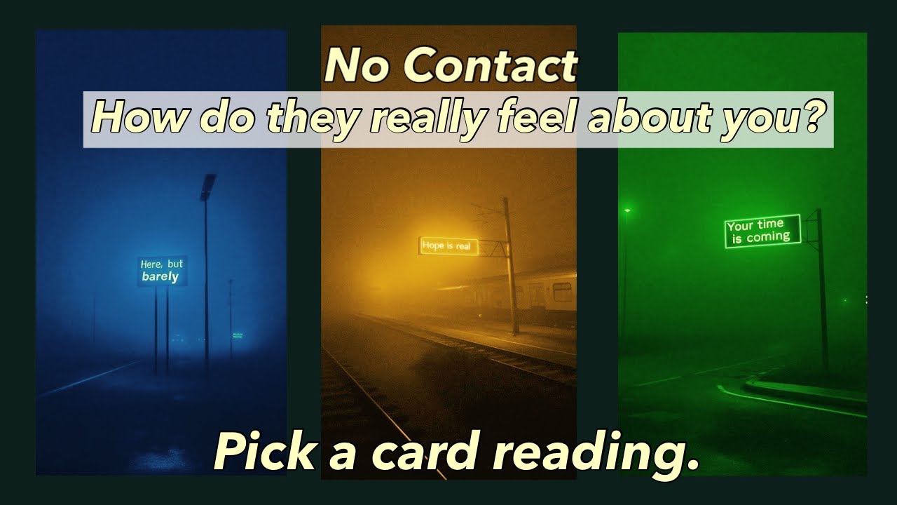 How is the person on your mind really feeling about you? No contact tarot pick a card reading