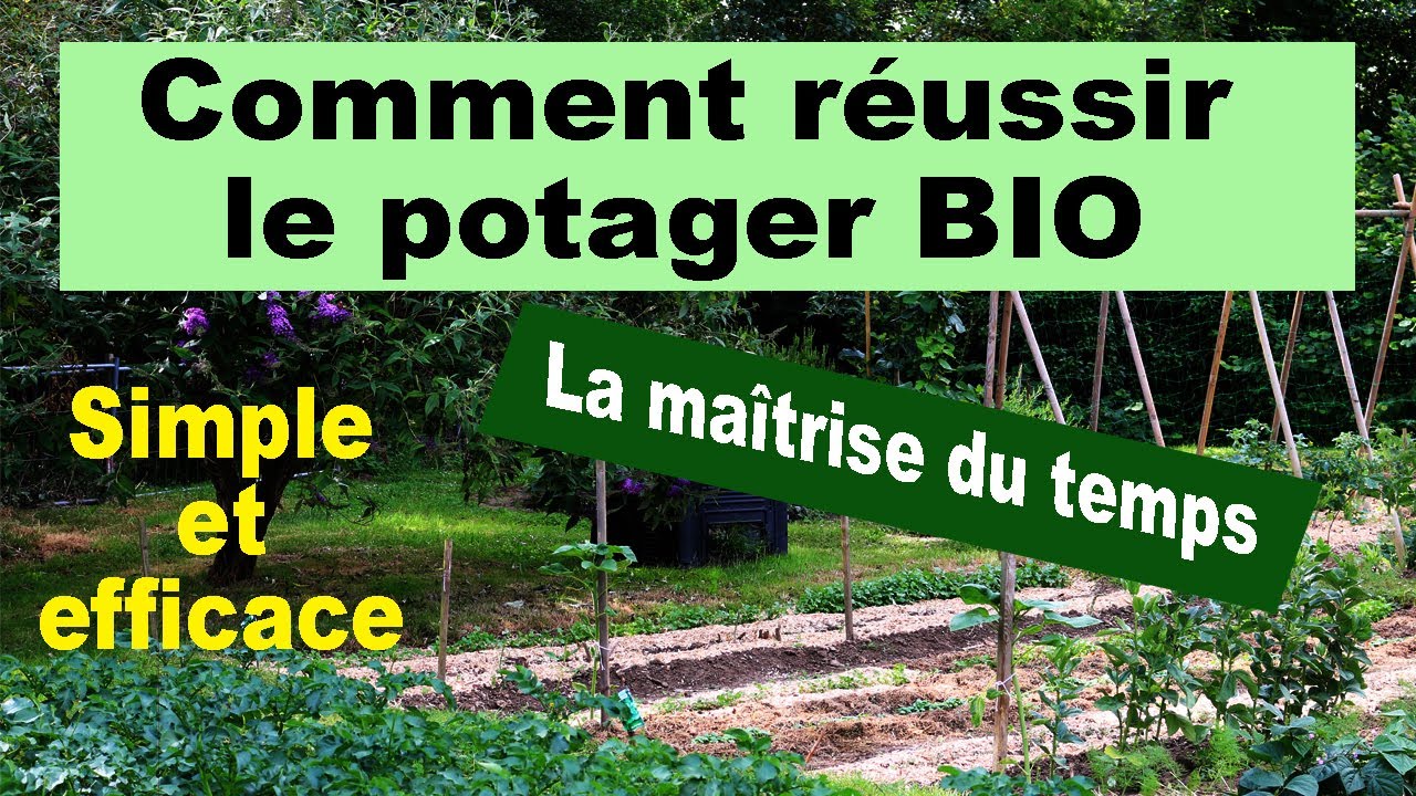 Comment r&eacute;ussir un potager BIO