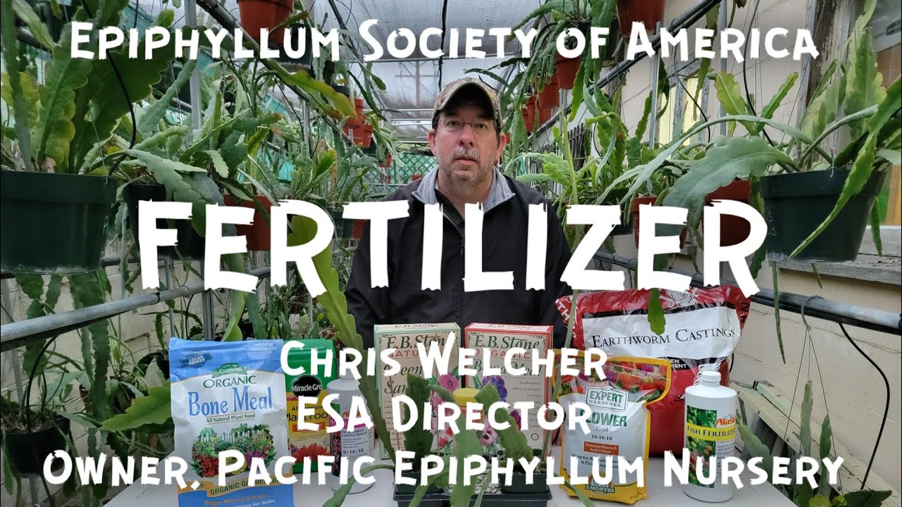 Fertilizer: All You Need to Know (and then some!)