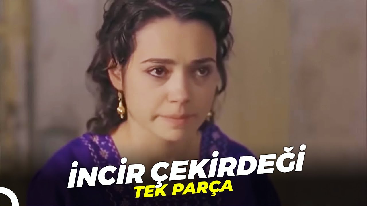 İncir Çekirdeği | Özgü Namal Türk Dram Filmi İzle