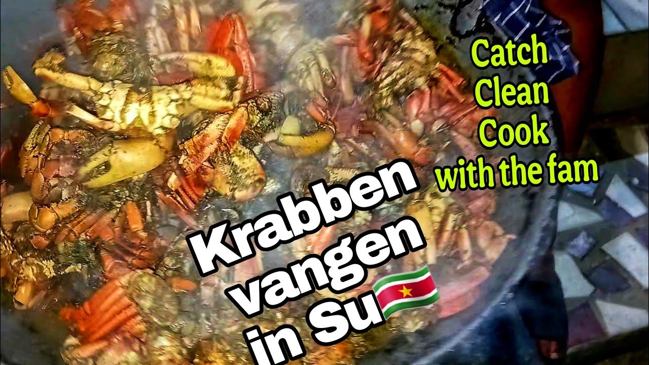 SR Krabben vangen, schoonmaken en gelijk koken😝 Suriname, kleine overstroming nabij de kust