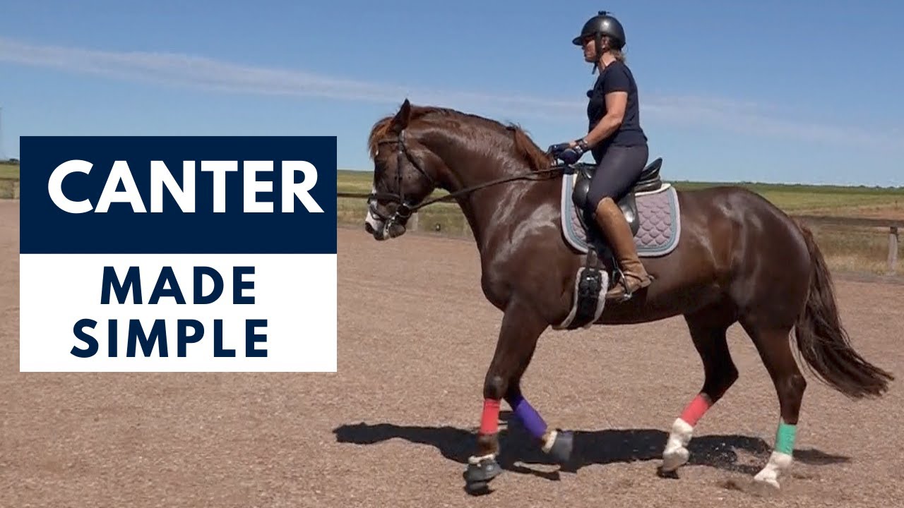 Canter – это просто: поймите механику за считанные минуты