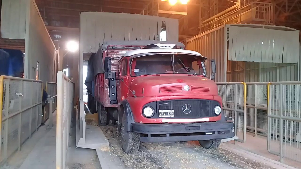 Camiones Descargando En Nidera//Prto San Martin