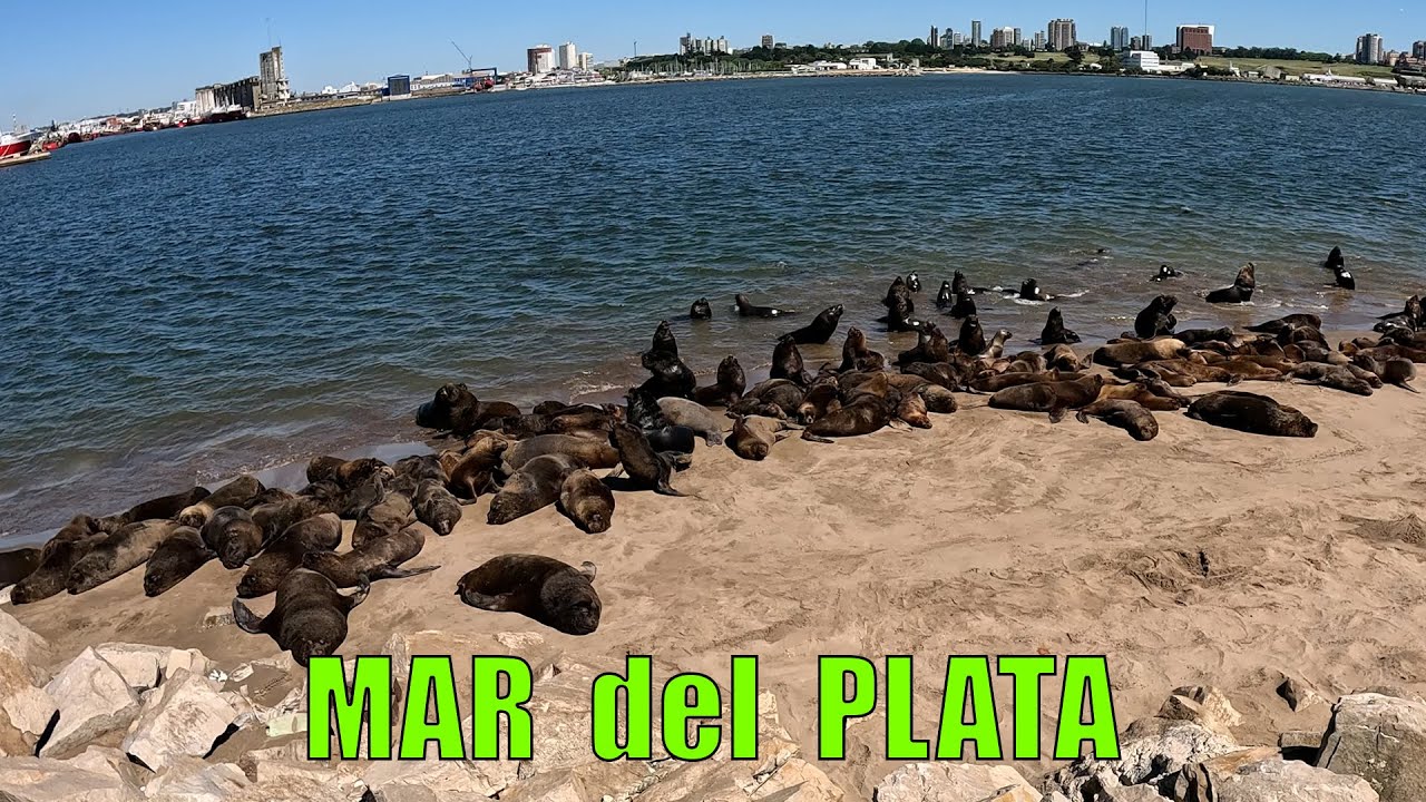 MAR DEL PLATA días antes de la locura veraniega en los lugares clásicos infaltables!