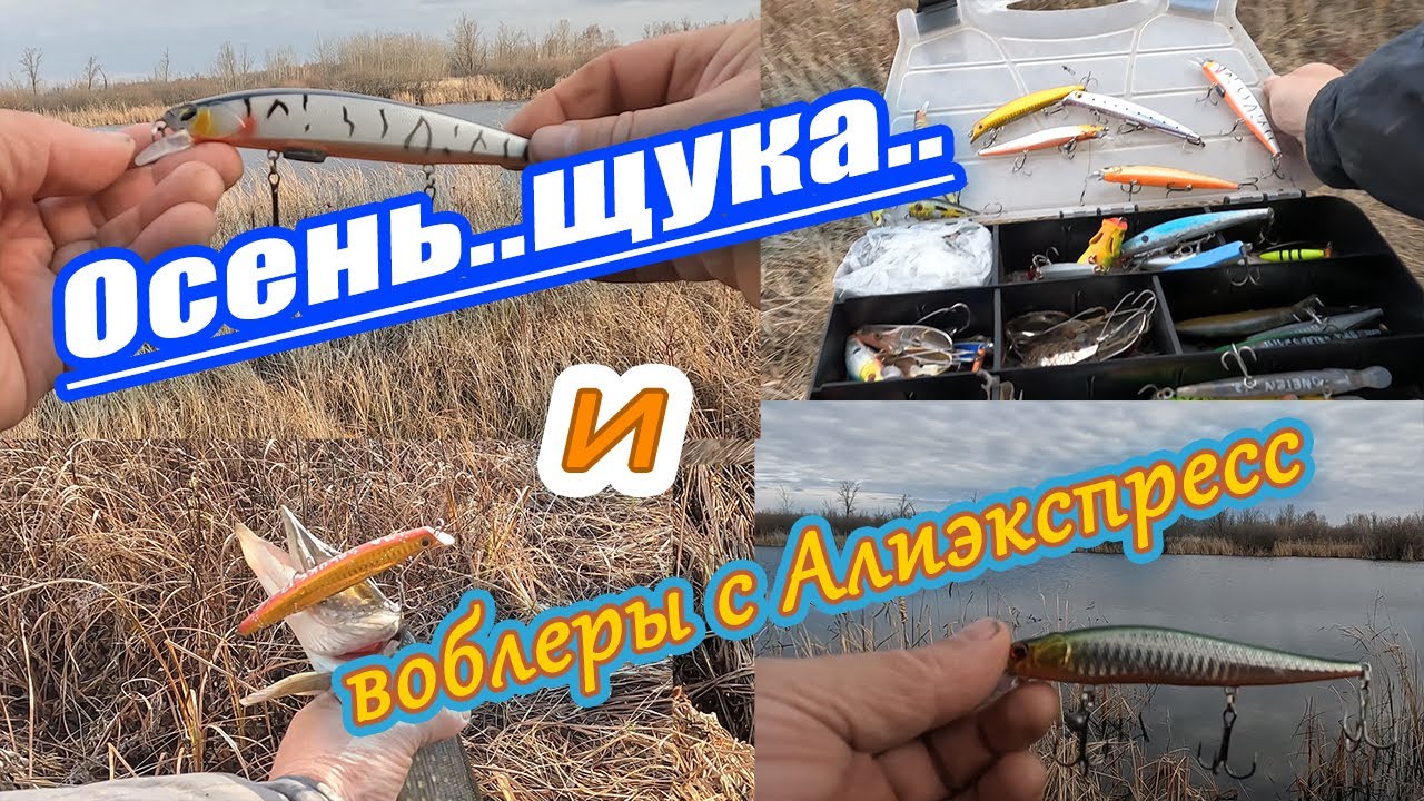 Осень..Щука..Воблеры из Китая..#каналнарыбалку##