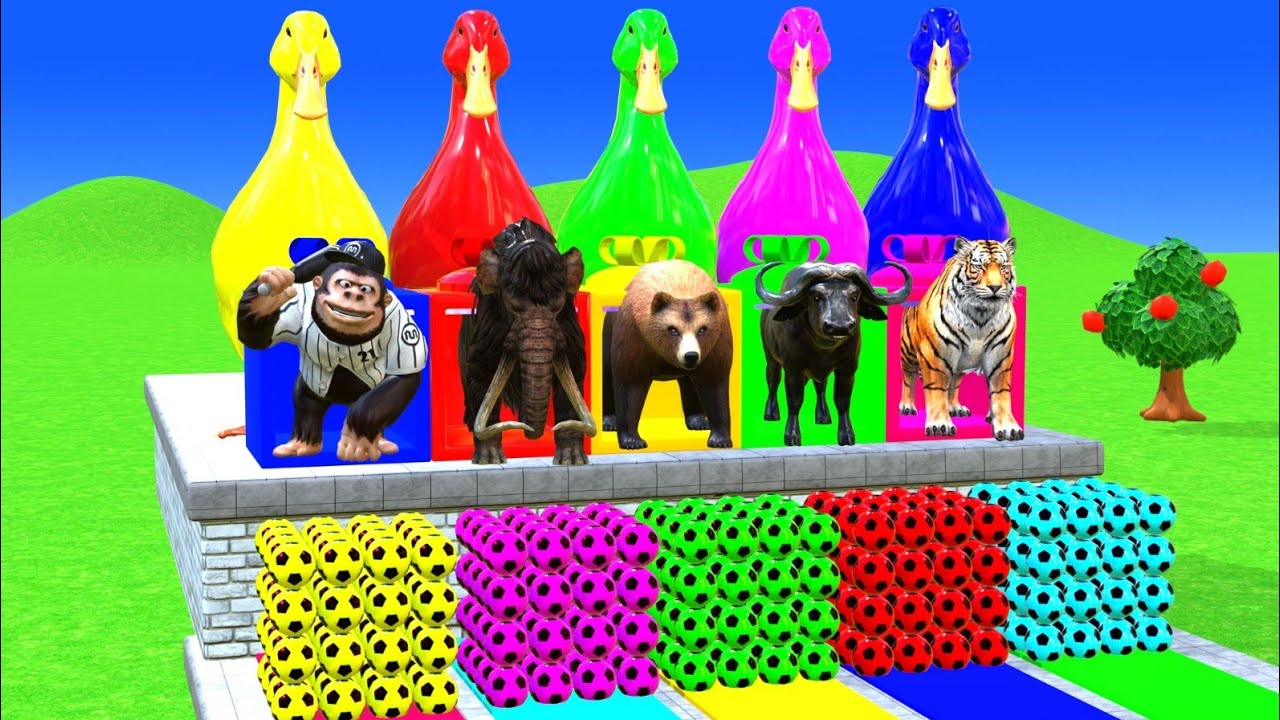 Long Slide Game With Elephant Gorilla Buffalo Hippopotamus Tiger 3d Animal Game Funny 3d Animals 2
