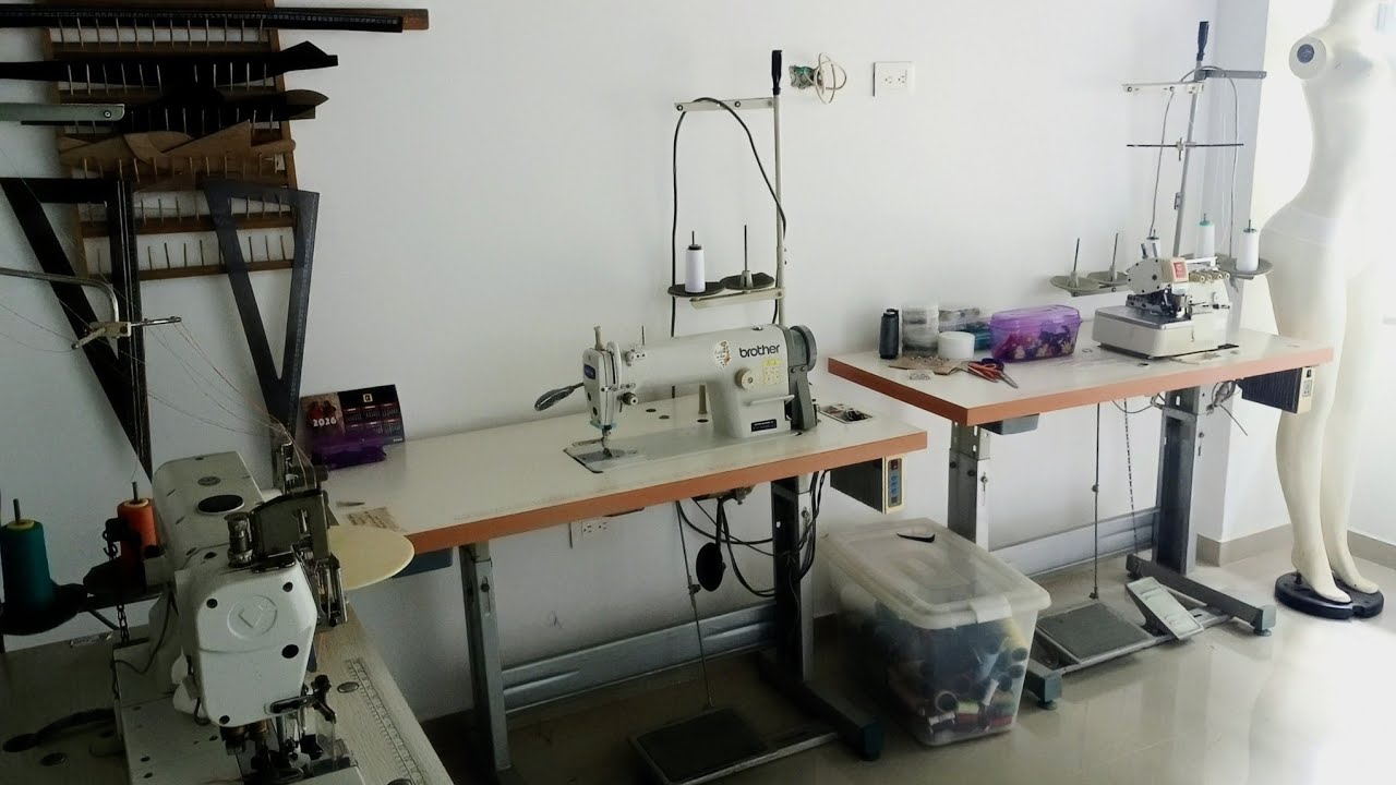 taller de pau está en vivo