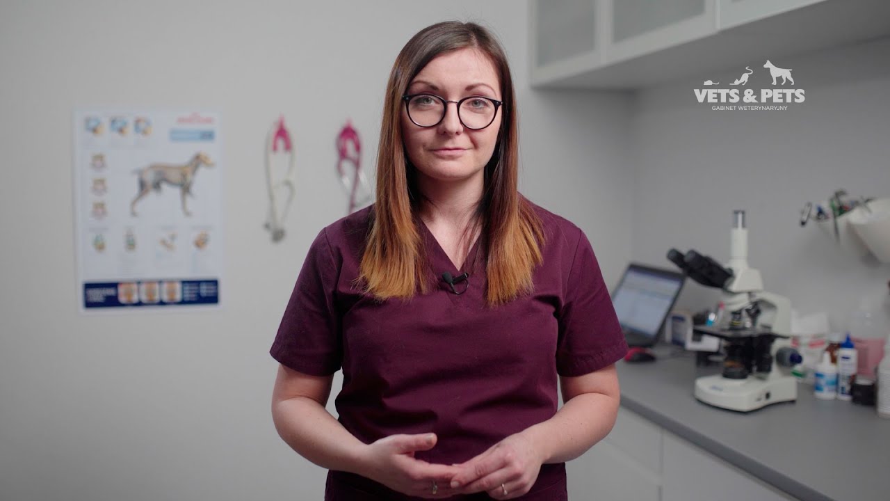 Vets&Pets - Pierwsza wizyta u weterynarza