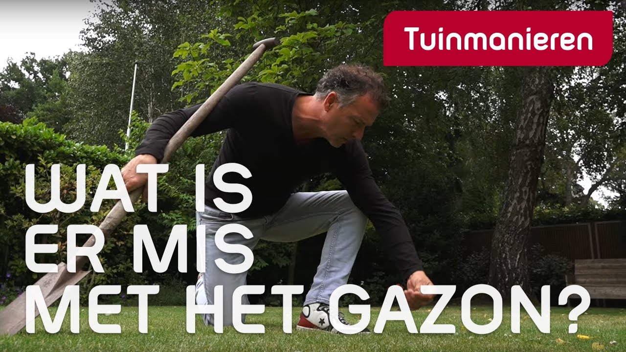 Wat is er mis met het gazon? Gras problemen | Zomer | Tuinmanieren