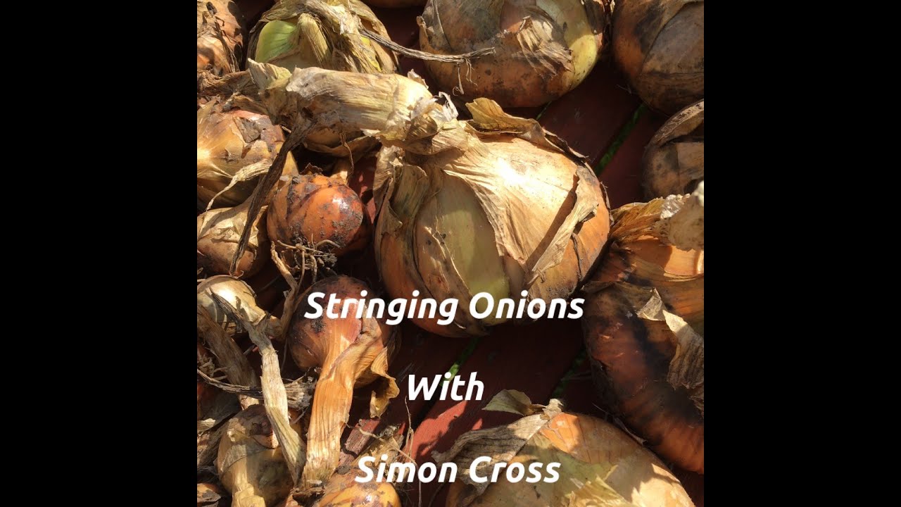 Knowing Your Onions