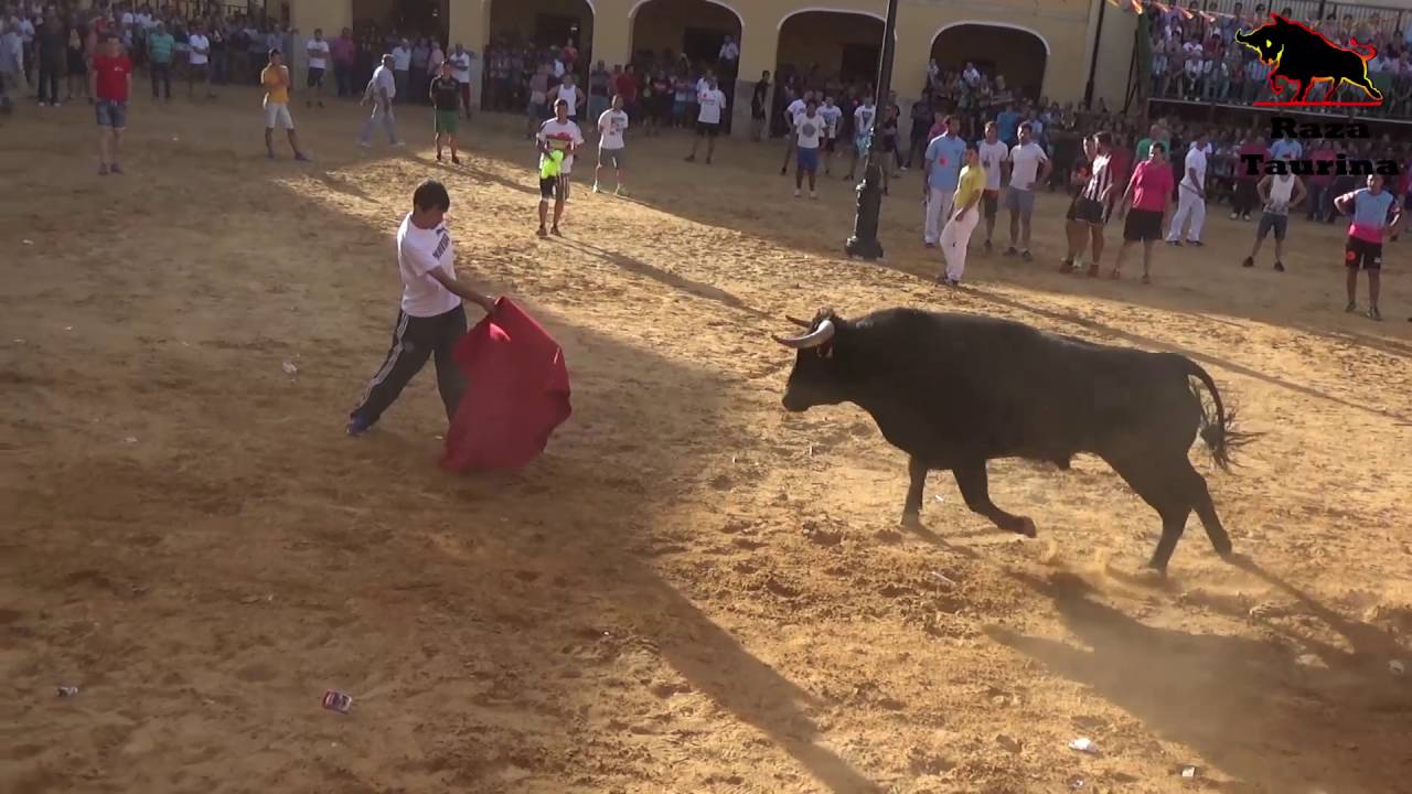 X Toro de la Juventud. Villalpando. 17 Agosto 2016