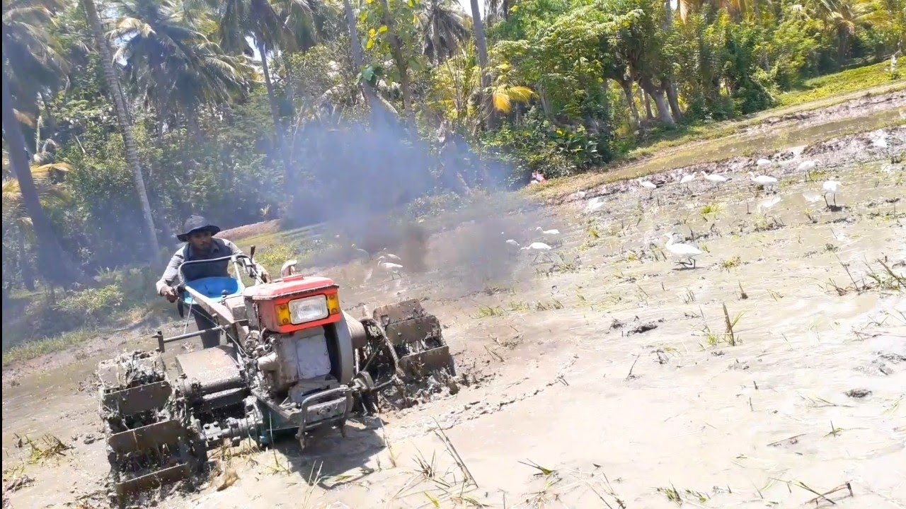 RV 125 tractor video 🚜🔥👊| ට්‍රැක්ටර් පිස්සෝ | Best Tractor Farmer #rv125 #tractor #video #shorts