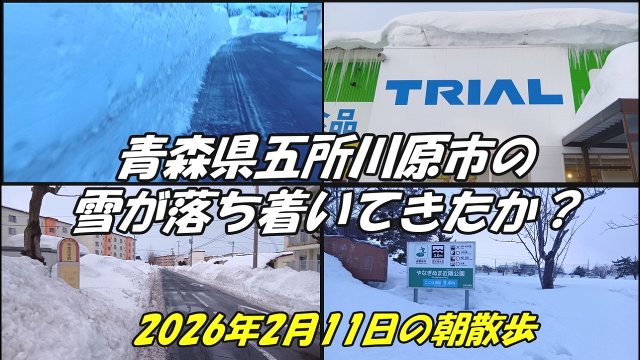 青森県五所川原市の雪が落ち着いてきたか？2026年2月11日の朝散歩