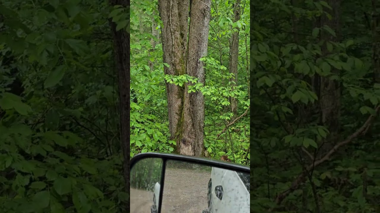 review of turkey foot campground in the Daniel Boone national forest. McKee, ky