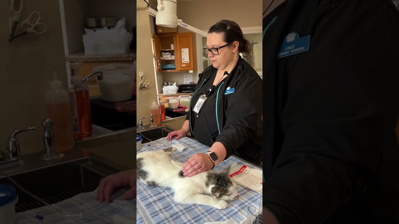 Penn Foster Vet Tech Skill 13 - SQ Fluids