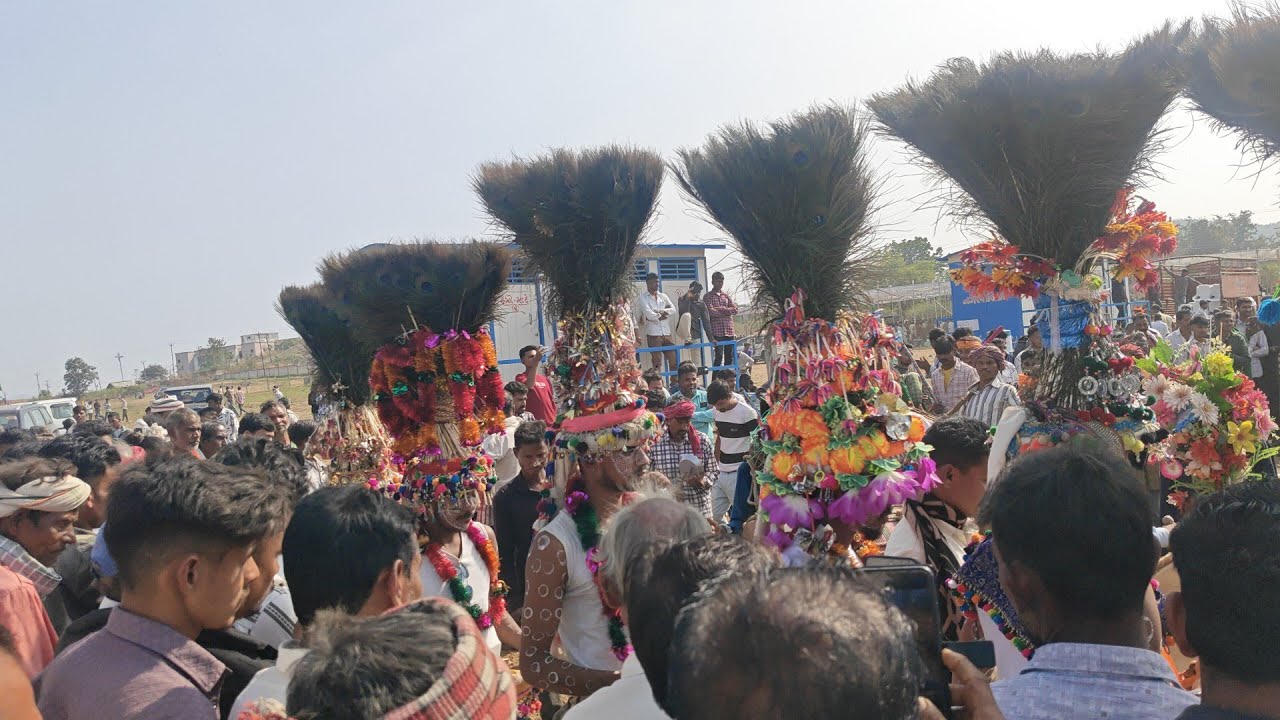 કવાટમાં ભાજપનો ભવ્ય શો આદિવાસી નરૂત્યુ #કવાંટ #aadivasi #2026 