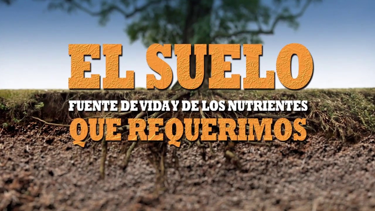 Los Nutrientes del Suelo