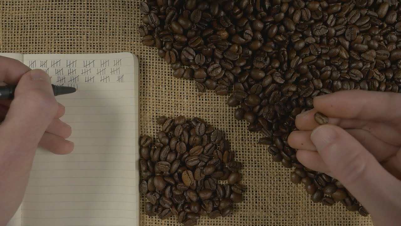 The Bean Counter | ASMR