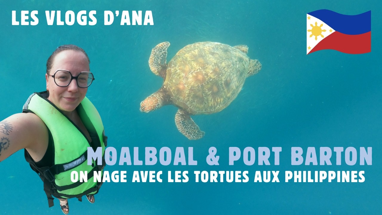 #Vlog2 aux Philippines : Tortues, Sardines, beaucoup de van et découverte de l'île de Palawan!