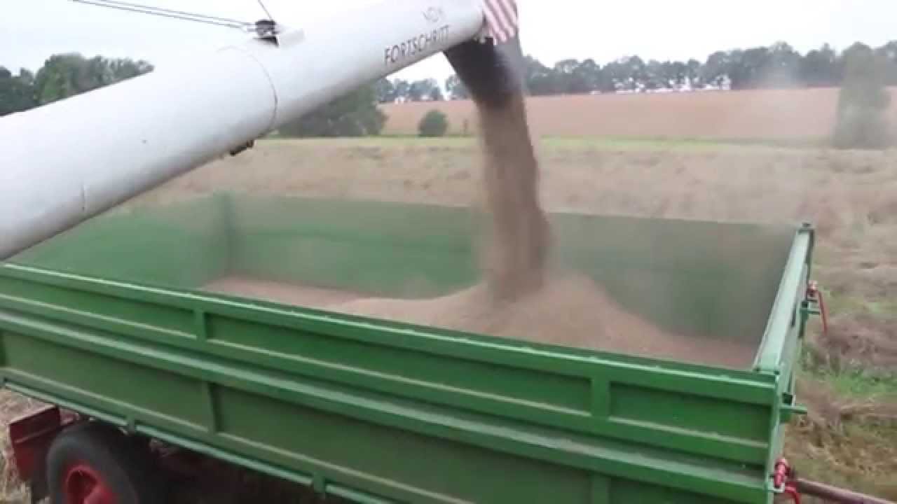 Fortschritt Mähdrescher E 517 beim Abbunkern