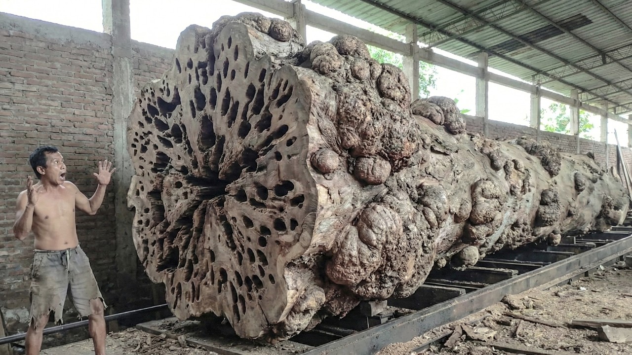 Unbelievable Woodworking! A Century Old Trembesi Reveals Its True Beauty at the Sawmill