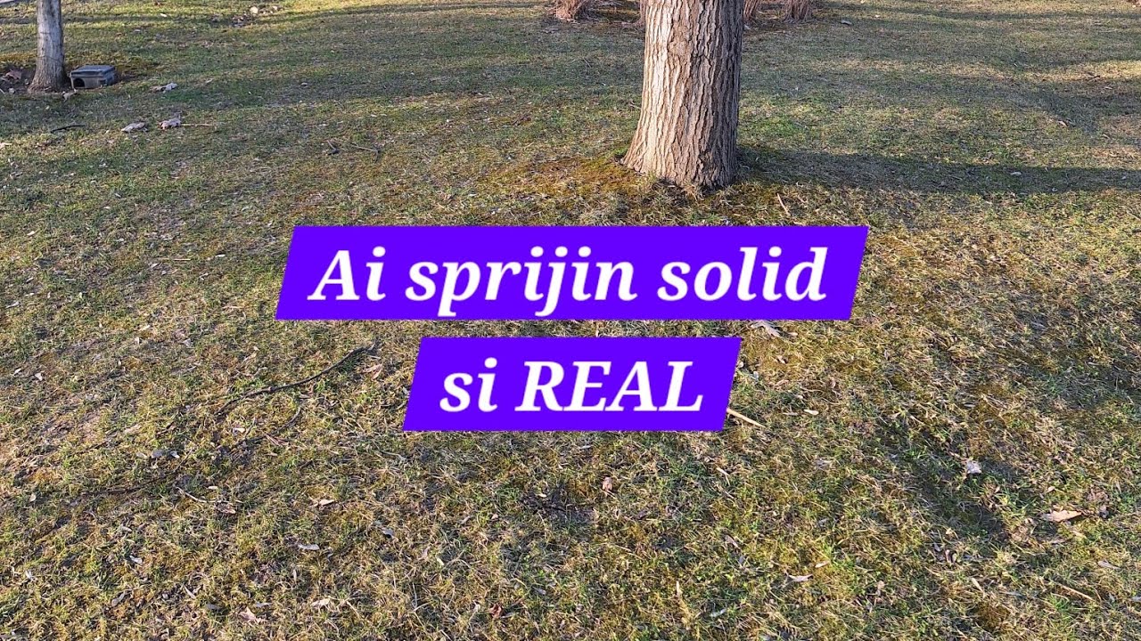 ✨️Un mesaj pentru linistea ta