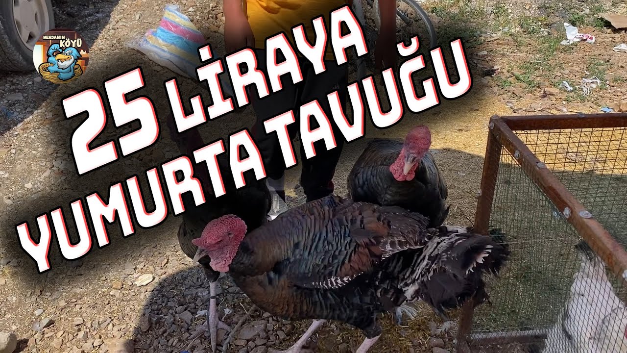 Bu Havada Bu Kadar İnsan Ankara Tavuk Pazarı 010721