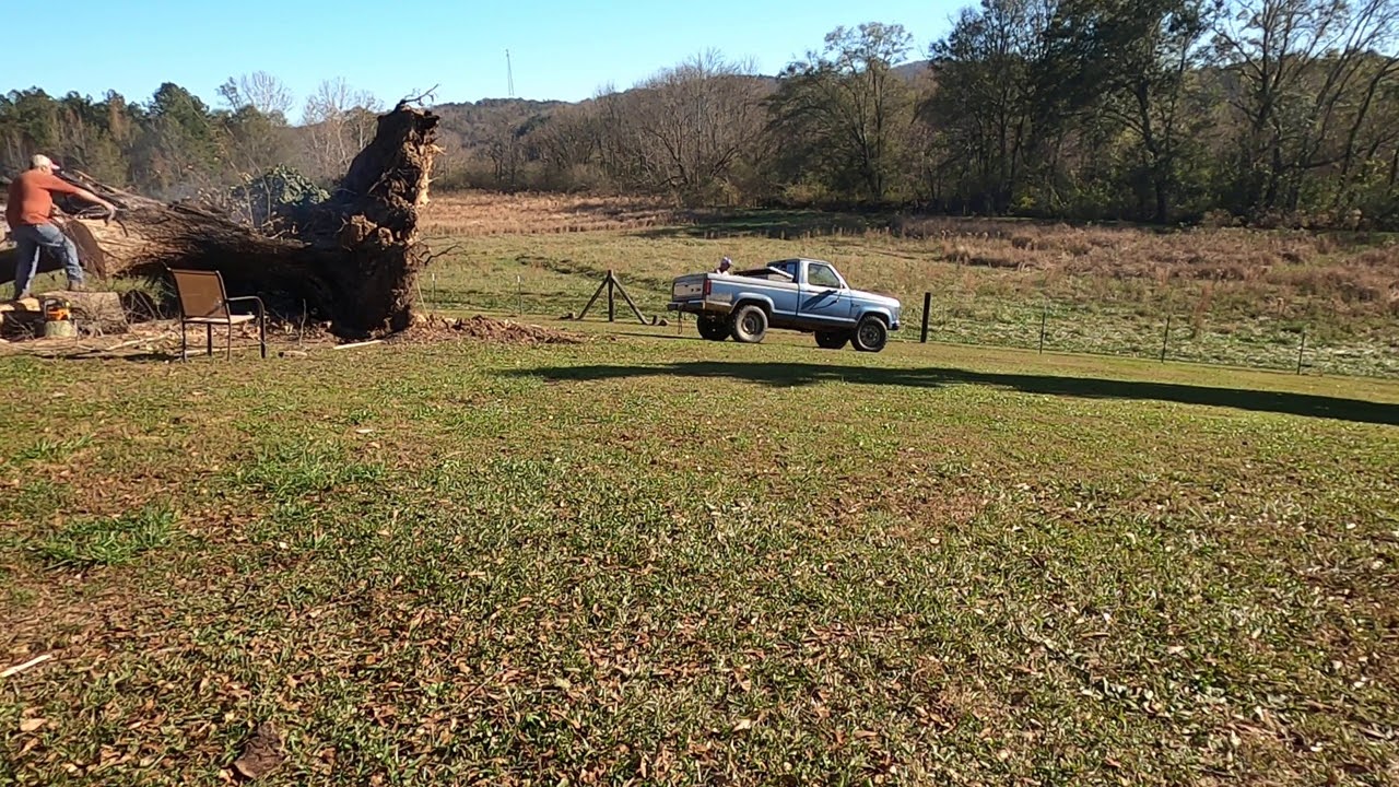 Can a 1987 Ford Ranger Pulls up a 90 Ton Southern Oak Tree?