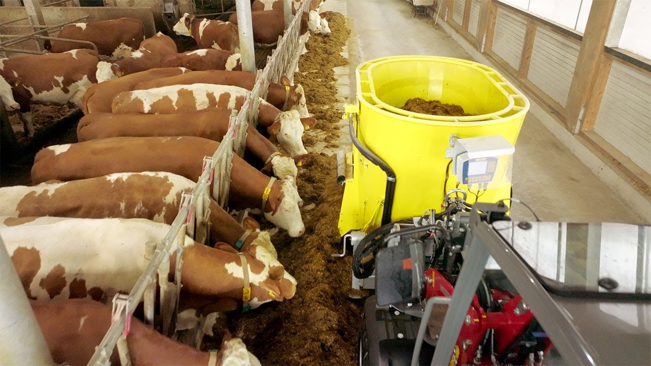 Sgariboldi Koala 2,5 Cart