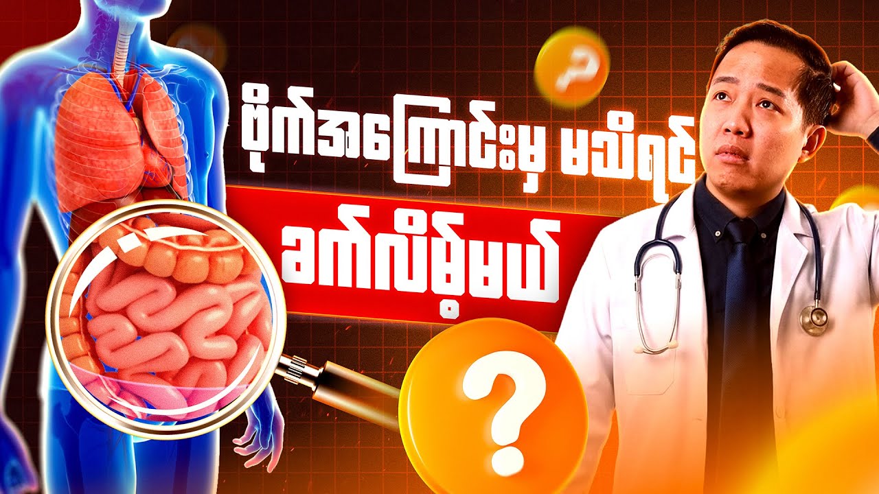 😰 ဗိုက်အကြောင်းမှ မသိရင်တကယ်ခက်လိမ့်မယ်... 😰