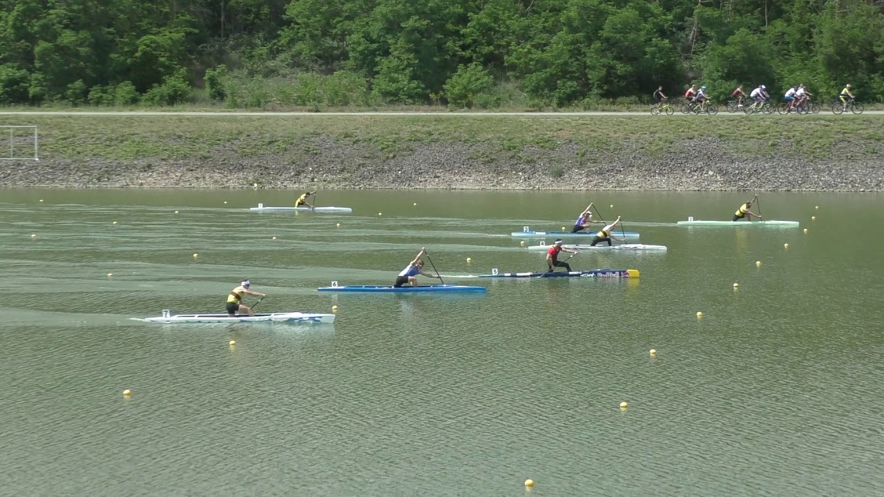 TESTY RD 2020 C1 1000